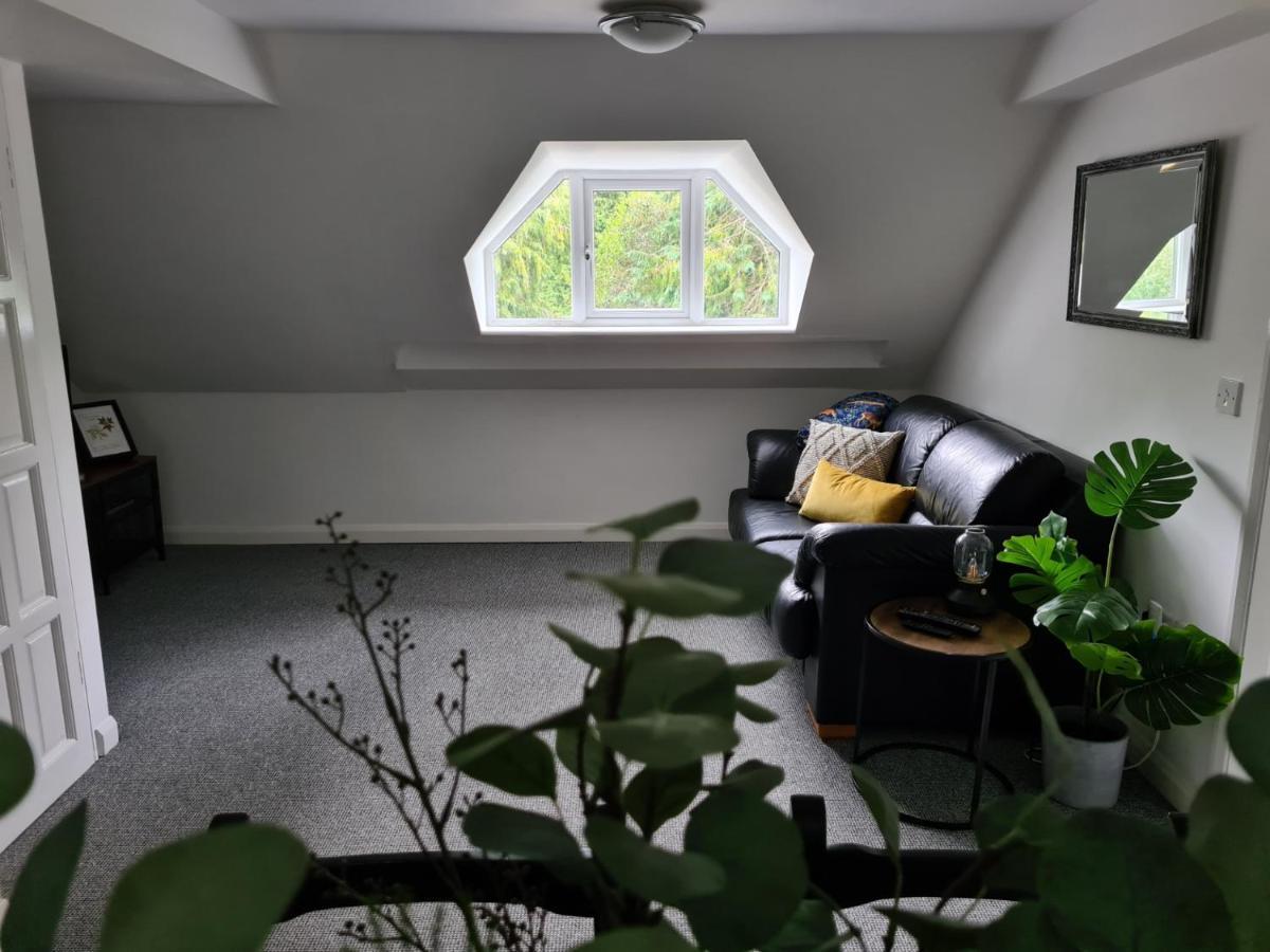מלון מולד Park House Self-Contained Annex מראה חיצוני תמונה
